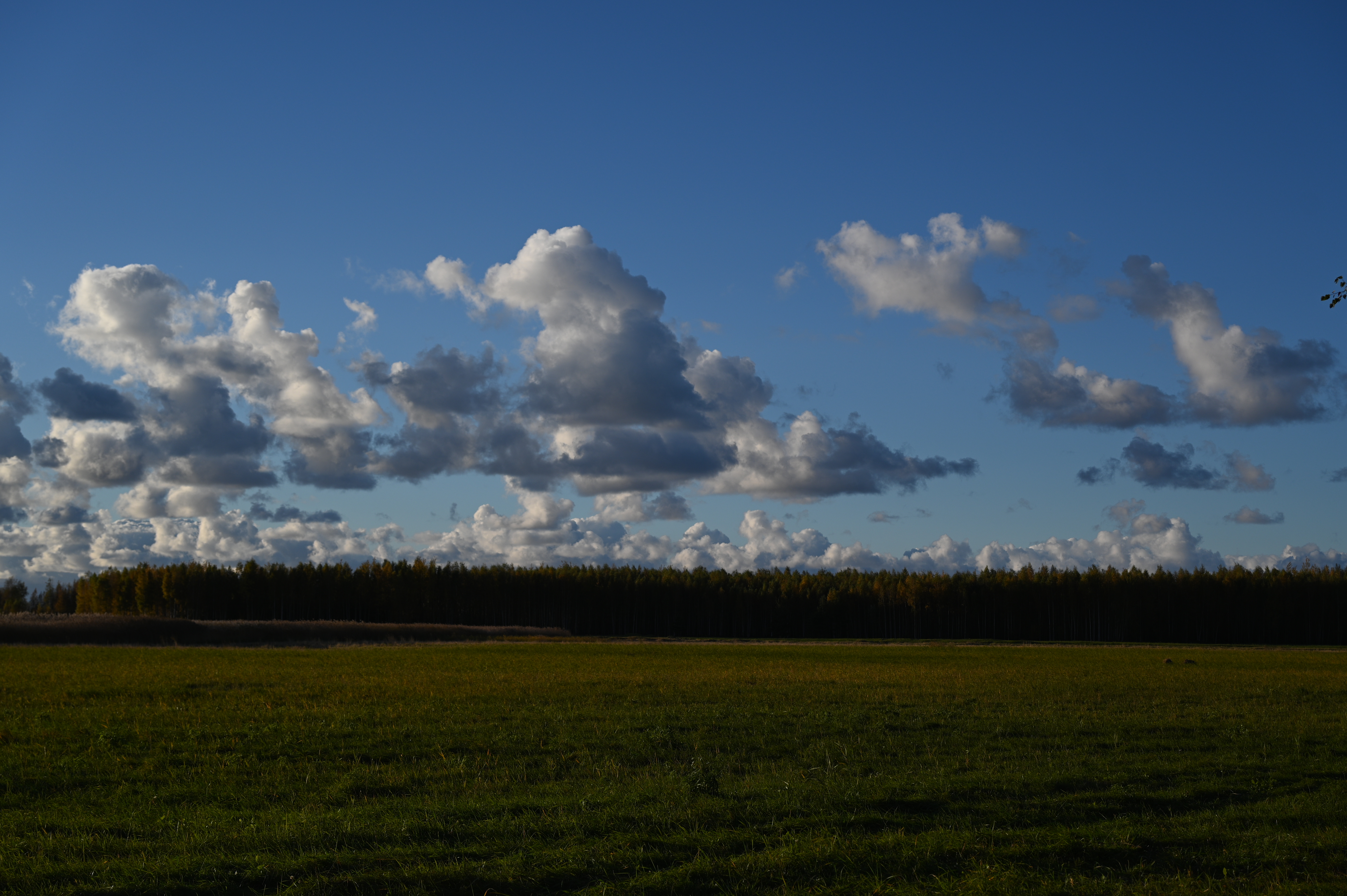 2025/10/18 - walk/DSC_0153.JPG